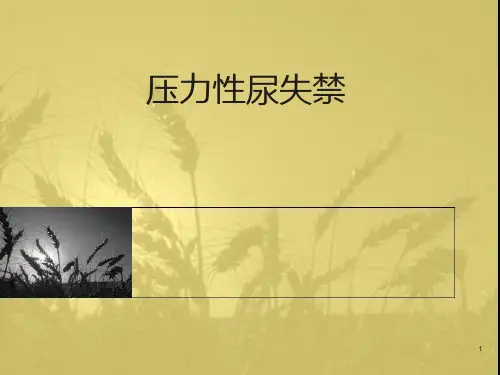 压力性尿失禁 PPT课件