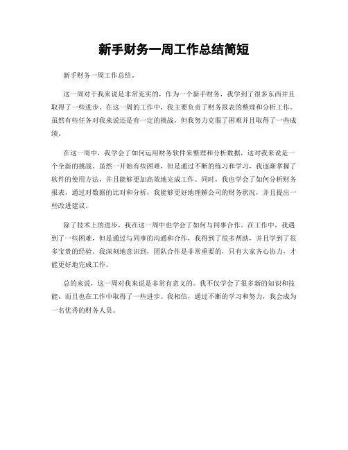 新手财务一周工作总结简短