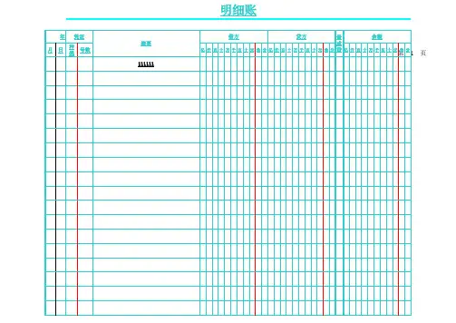 明细账页电子版
