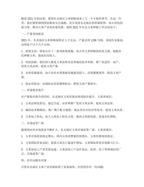 东北玉米年终总结