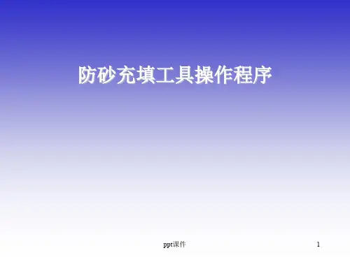 防砂充填工具  ppt课件