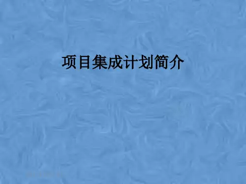 项目集成计划简介
