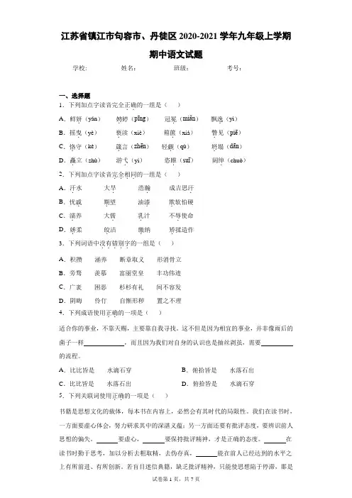 江苏省镇江市句容市、丹徒区2020-2021学年九年级上学期期中语文试题(含答案解析)