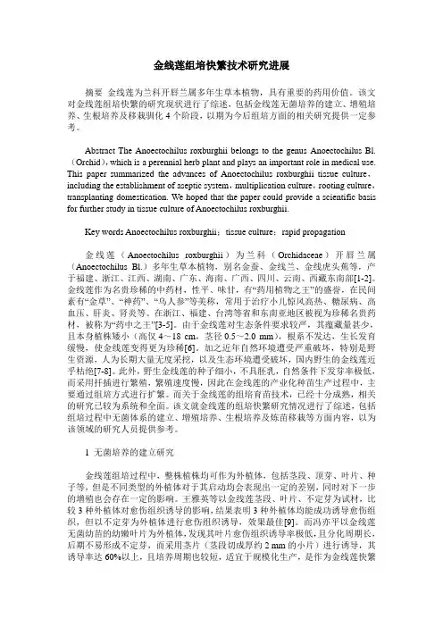 金线莲组培快繁技术研究进展