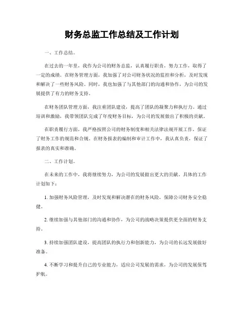 财务总监工作总结及工作计划