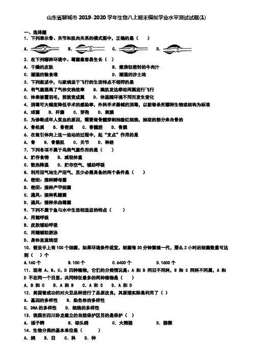 山东省聊城市2019-2020学年生物八上期末模拟学业水平测试试题(1)