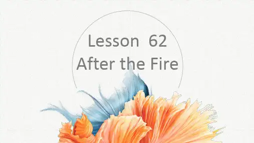新概念第二册--Lesson-62-After-the-fire课件