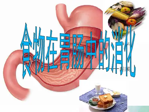 冀少版-生物-七年级下册-第2单元第1章第2节食物的消化_食物在肠胃中的消化课件