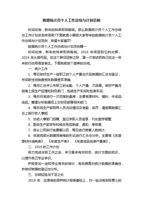 数据统计员个人工作总结与计划范例