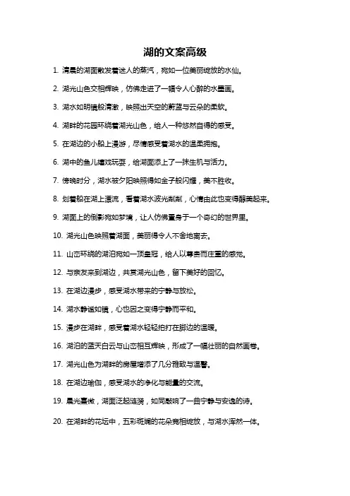 湖的文案高级