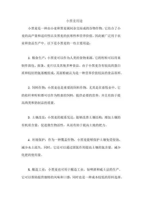 小黑麦用途