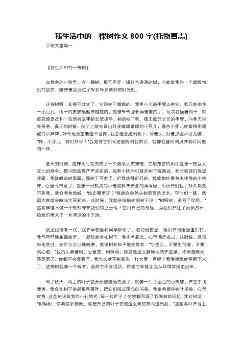 我生活中的一棵树作文800字(托物言志)