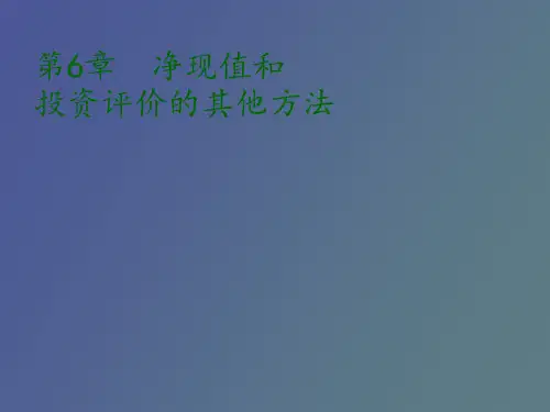 净现值和其他方法