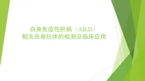 自身免疫性肝病(AILD)相关自身抗体的检测及临床应用