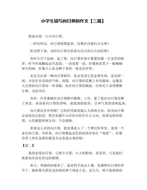 小学生描写向日葵的作文【三篇】