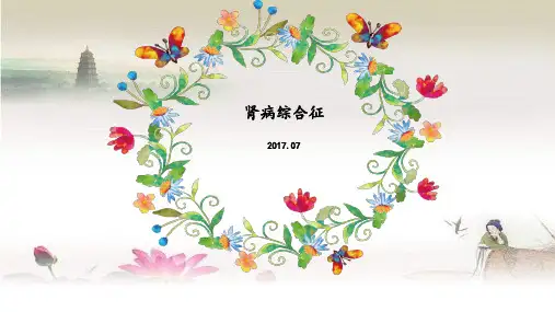 肾病综合征 PPT