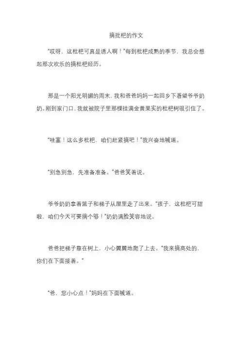 摘批杷的作文