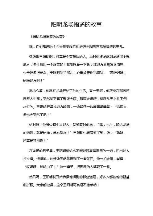 阳明龙场悟道的故事
