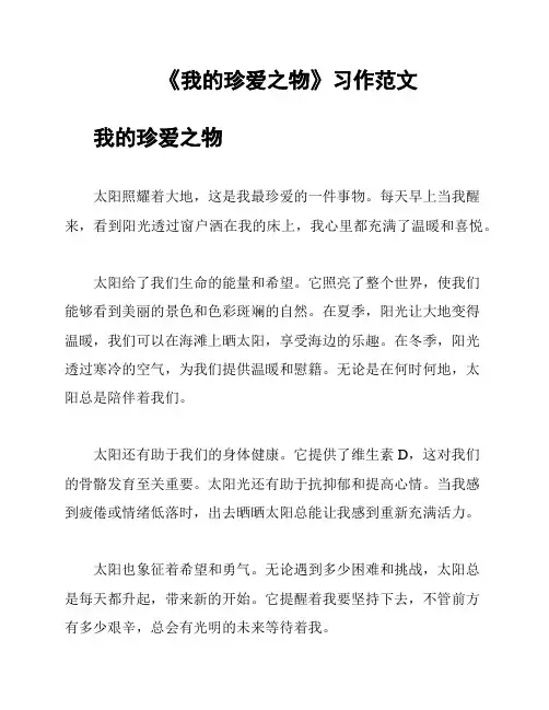 《我的珍爱之物》习作范文