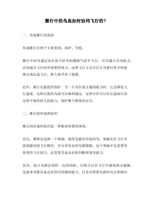 雁行中的鸟是如何协同飞行的？