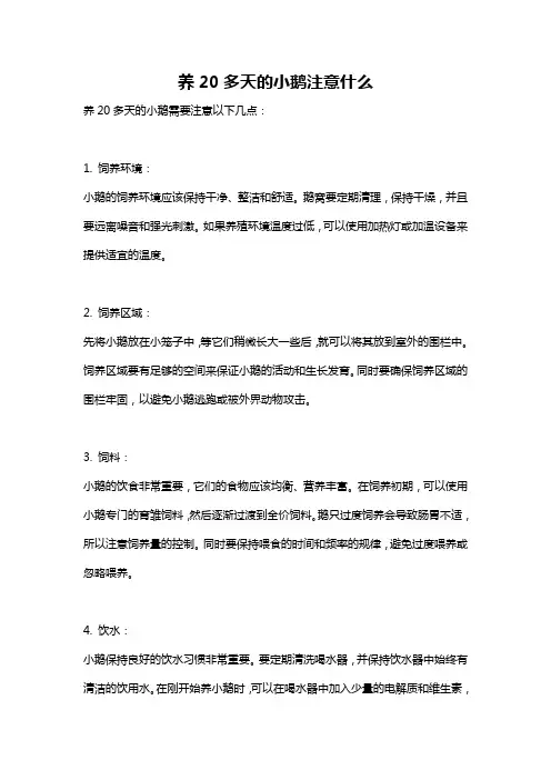 养20多天的小鹅注意什么