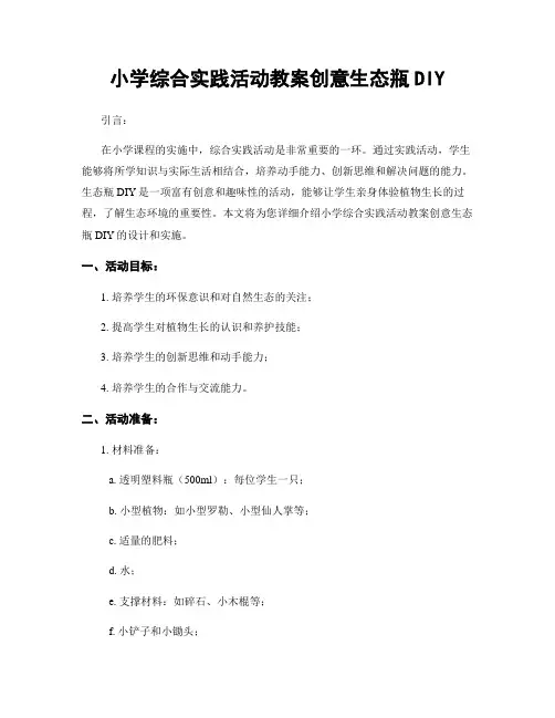 小学综合实践活动教案创意生态瓶DIY