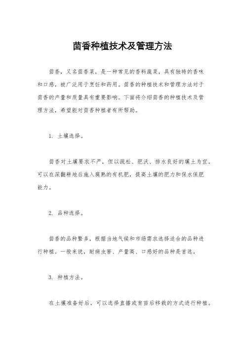 茴香种植技术及管理方法