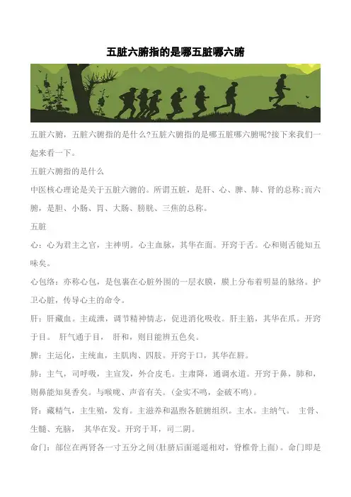 【推荐】五脏六腑指的是哪五脏哪六腑