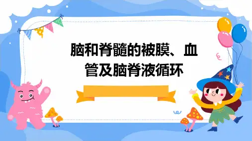 脑和脊髓的被膜、血管脑脊液循环