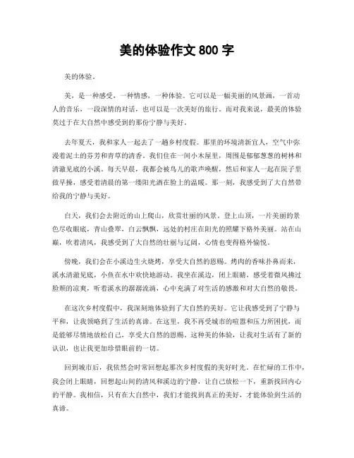 美的体验作文800字