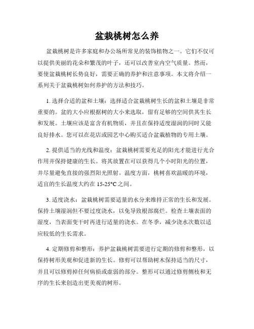 盆栽桃树怎么养