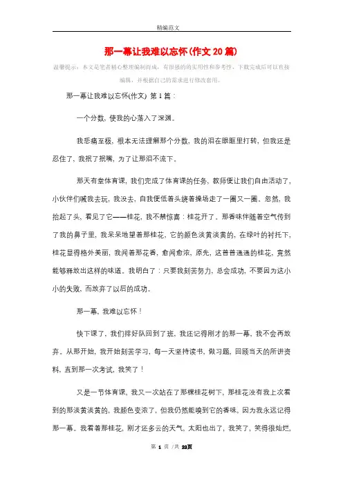 那一幕让我难以忘怀(作文20篇)精选