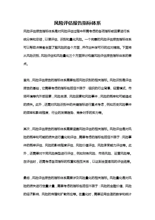 风险评估报告指标体系