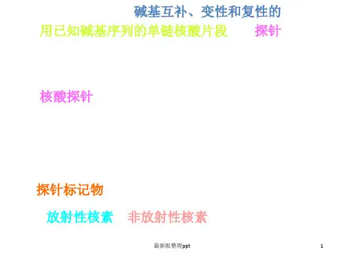 现代分子诊断技术ppt课件