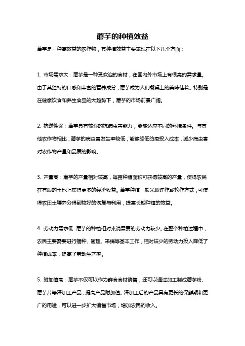 蘑芋的种植效益