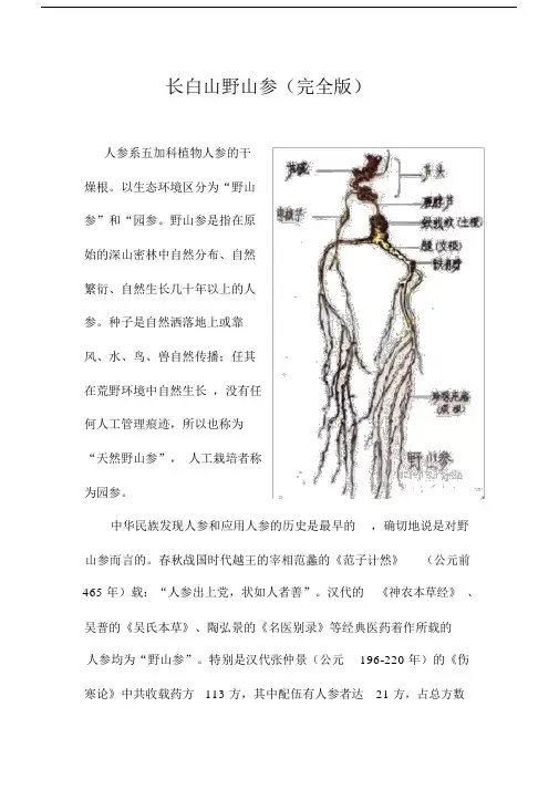 野山参鉴别大全图文版.doc