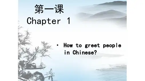对外汉语零基础拼音学数字问答国籍