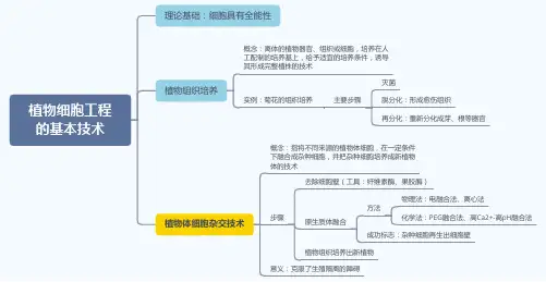 2.1.1植物细胞工程的基本技术——高二生物学人教版(2019)选择性必修三思维导图
