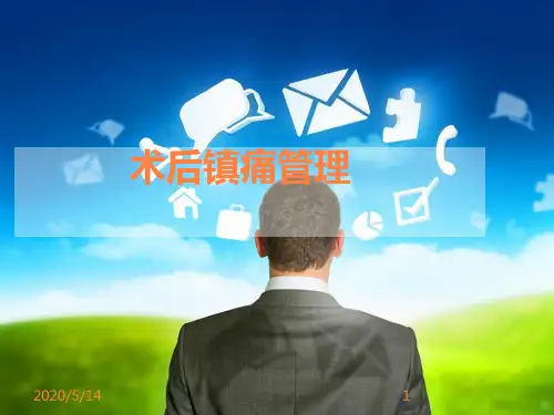 术后镇痛管理ppt课件