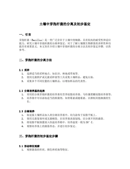 土壤中芽孢杆菌的分离及初步鉴定
