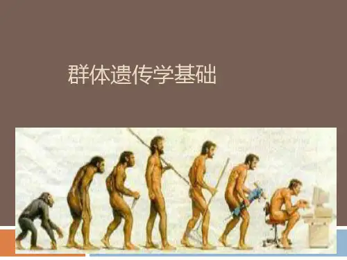 群体遗传学