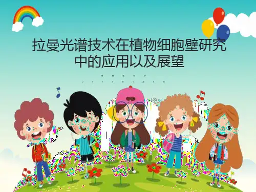 拉曼光谱技术在植物细胞壁中的应用以及展望