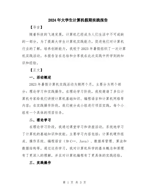 2024年大学生计算机假期实践报告