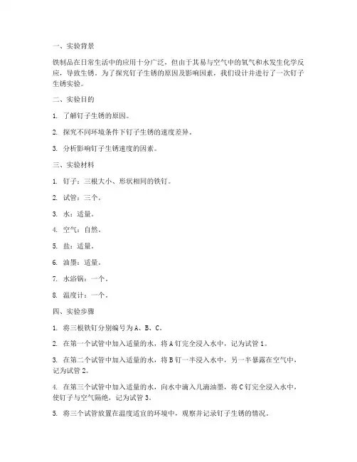 钉子生锈的实验报告