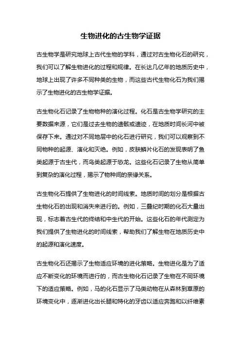 生物进化的古生物学证据