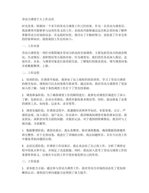 劳动力调查个人工作总结