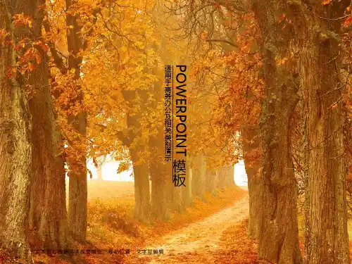 通用PPT模板合集(4套)