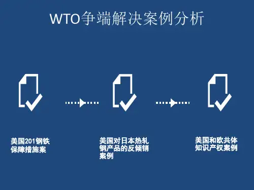 WTO争端解决案例分析
