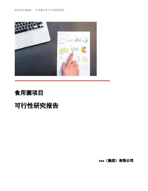 食用菌项目可行性研究报告