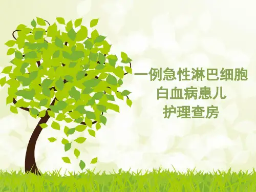 一例急性淋巴细胞白血病患儿护理查房(含疾病介绍、个案介绍、护理问题、护理措施、问题讨论)